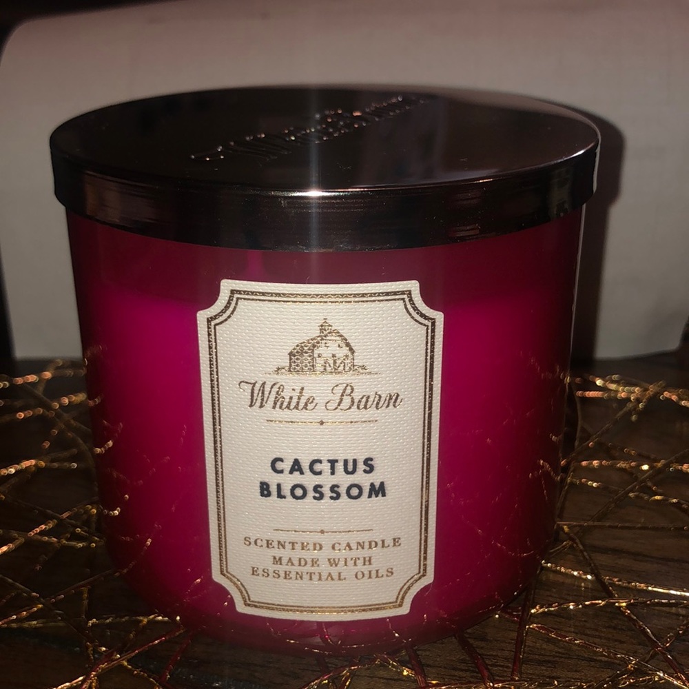 Cactus Blossom